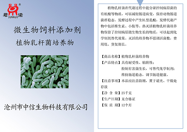 <b>植物乳桿菌培養(yǎng)物</b>